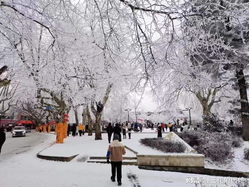 游庐山遇见绝美雪景,冰天雪地银装素裹,美不胜收 运气太好了