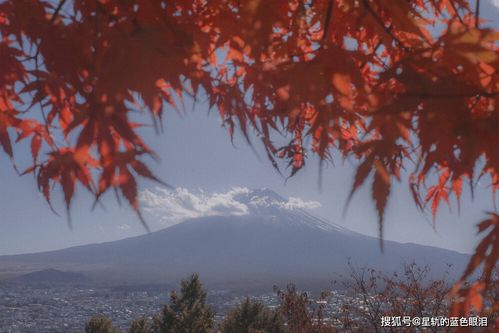 看似平平无奇,其实心怀宇宙的星座,内秀十足,越接触越喜欢