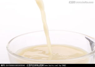 豆奶饮料能养花吗