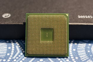 轻松识别 CPU 型号，让你的电脑性能一目了然！