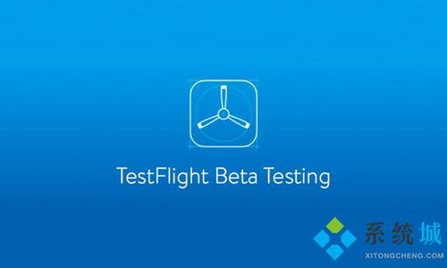 TestFlight邀请码