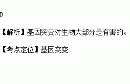 下列关于生物变异的叙述中不正确的是（　　）A．基因突变是随机的，可以发生在个体发育的任何时期B．二倍