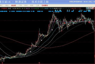 在哪里查看台湾股票