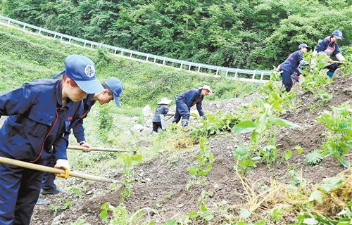 贵州毕节发展绿色产业 改变 从一片桑叶开始 