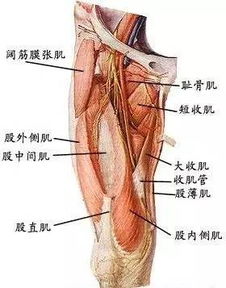 独家︱林允儿美得不完美 是腿短还是假跨宽显矮15公分 