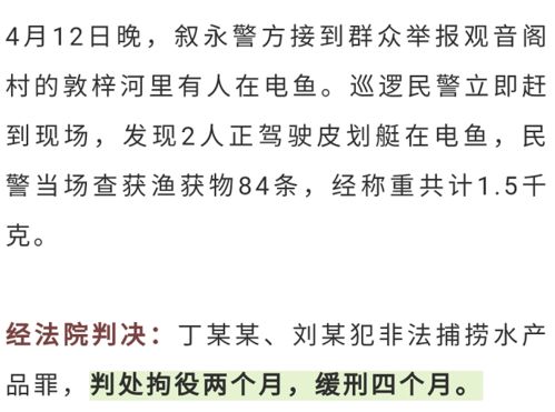 长江禁渔十年 泸州发布非法捕捞典型案例 有人用 高科技 钓鱼,结果