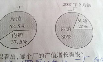 从扇形统计图可以看出，那个厂的外销产品占产品销售总数的百分比大