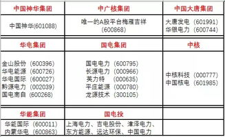 大唐发电跟华银电力的关系