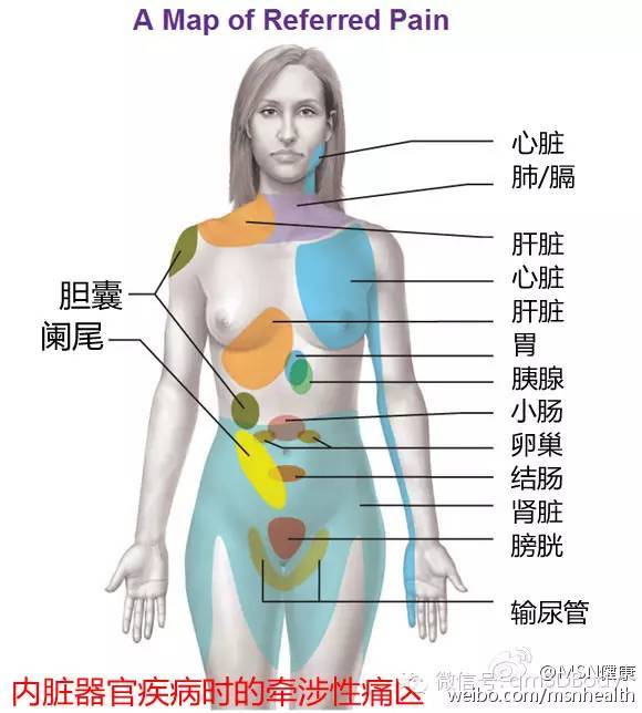 内脏器官对应疼痛部位,一目了然