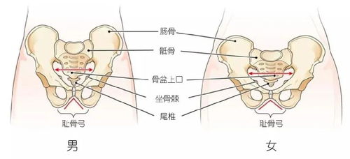 酸了,为什么男生的腿比女生还细