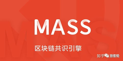 采用PoC共识机制的MASS是一个什么样的项目？