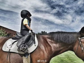 靳东晒照庆祝儿子5岁生日,小朋友骑着马,完美遗传爸爸的大长腿