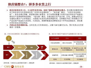 42页PPT 从喜茶 盒马 拼多多的兴盛,看城市需求差异化