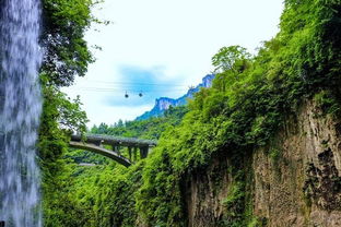 恩施旅游,几月份好玩,季节时间,看完就明白 