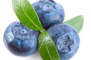 蓝莓怎么洗才干净正确的清洗方法,蓝莓怎么洗才干净正确的蓝莓清洗方法？