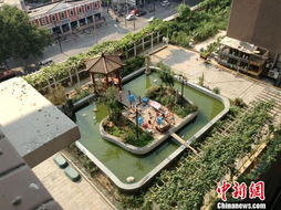 郑州一小区楼顶现豪华私人花园涉嫌违法被叫停 