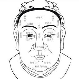 面相算命要素 面相三停
