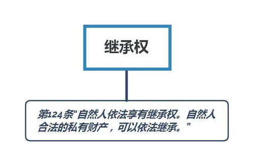 委员导读③ 民法典,赋予了我们哪些权利