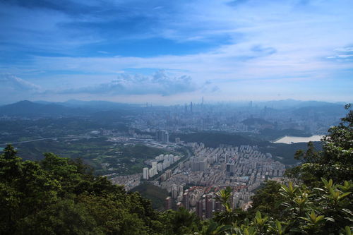 好天气,登高去 广州周边登山胜地推荐,亲近大自然享受好心情