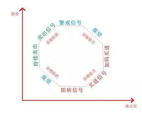 怎么看软件上的成交量，那些属于静态的，那些属于动态的！