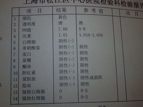 尿常规检查隐血３+（２００）是什么意思？