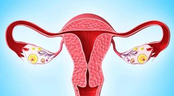 卵巢功能衰退早期症状有哪些，可以试管助孕吗？