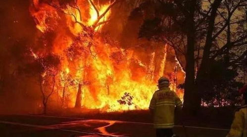 火灾过后又来水灾 澳大利亚迎来多日大降雨,当局开始担心火灾