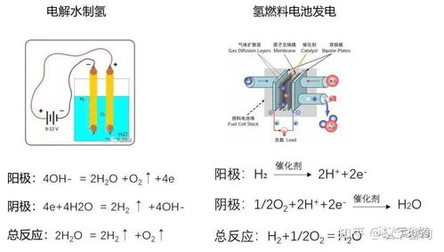 近世进士尽是近视