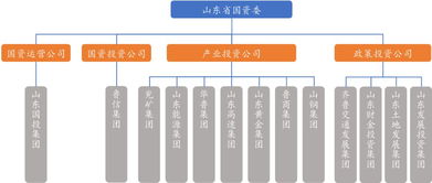 莘县国有资本投资运营有限公司怎么样？