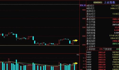 股票里面无量上涨是什么意思啊？