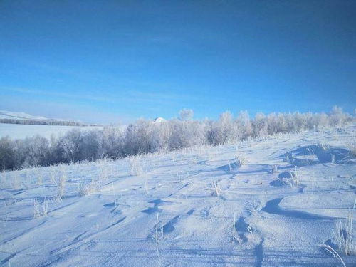 12月的内蒙古牙克石,银装素裹,驰骋在苍茫林海雪原中