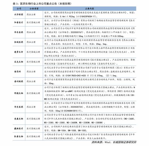 英特转债价值分析