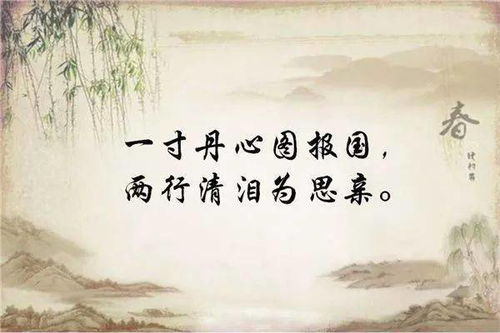 自然之子名言（六世祖  名言？）