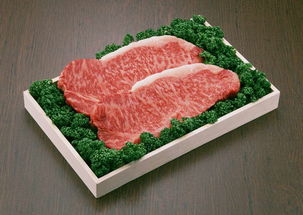 生肉肉食肉块肉片鲜肉食品肉类餐饮图片素材 模板下载 2.89MB 其他大全 其他 