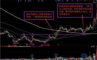 股市调整中，主力资金再度净流出259亿元