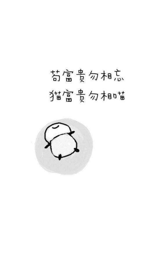 文字壁纸 屏保