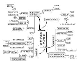 绘制中国的河流知识思维导图