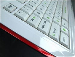 禁不住的诱惑 NAZAR南极超薄时尚多媒体键盘 