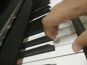 我今年14岁了,我最近想学钢琴 已经在学了 但是我觉得我的手指比别人都长,请问这样适合弹钢琴吗 