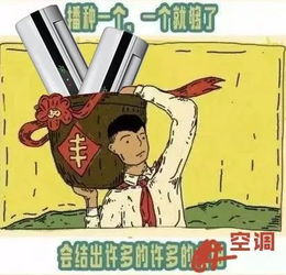 有一种热叫 新民热 , 热 爱新民,因为是她在 种太阳 