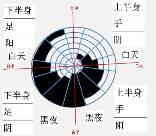 讨论十二地支十二消息卦,对应十二经络的可能情况 