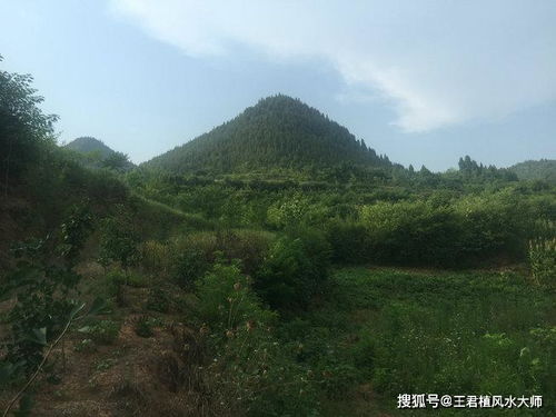 点军五脑龙封疆风水宝地,风水大师王君植湖北看风水寻龙实拍报道