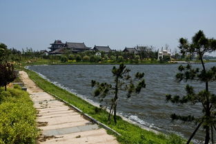 少海湿地公园停车场免费吗,青岛少海湿地公园介绍