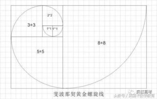 自然界中有哪些经典的比例