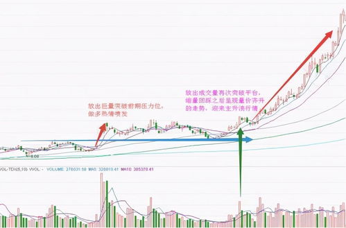 主力资金在7月31日大量撤离美丽生态