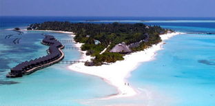 马尔代夫店奥静岛攻略探索海滩与热带雨林的绝美风光（马尔代夫奥臻岛死人）
