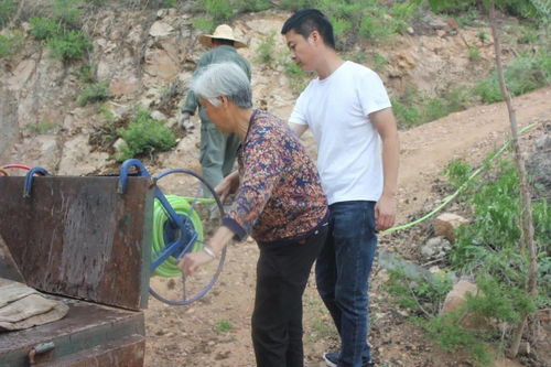 沙河 退伍老兵守山种树19载,荒山变青山