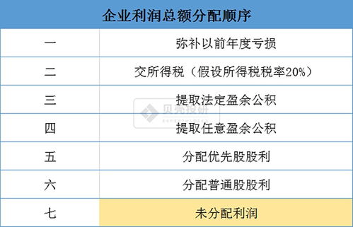 什么是：利润不分配？