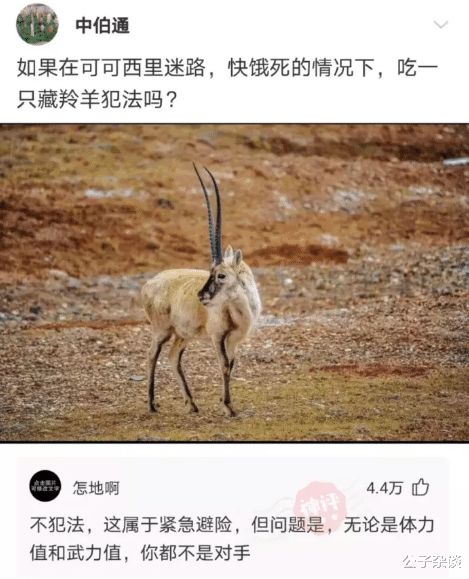 你相信是同一个人吗 小哥去了趟泰国,回来亲妈都不认识了