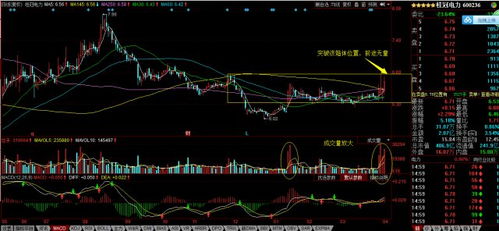 600236桂冠电力，600807天业股份这2支股票，后市如何表现?还可能上涨吗？